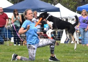 Festival merges music with pets to benefit animal causes