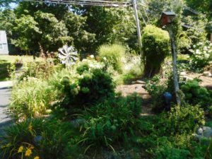 An oasis of beauty in Westborough