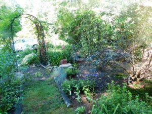 An oasis of beauty in Westborough