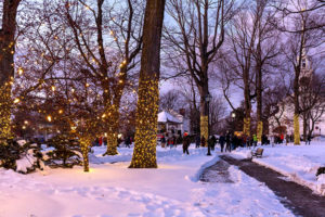 The Shrewsbury Town Common is illuminated at a previous year's Light the Common event. 