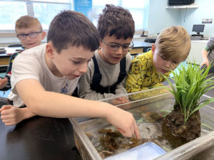 Grafton kids learn first-hand about sea creatures