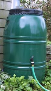 Westborough to offer discounted rain barrels
