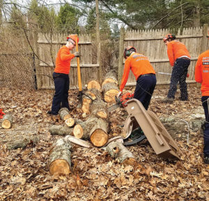 New England Tree Experts ready to assist you