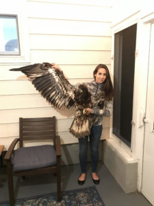 Rescue efforts come too late for bald eagle