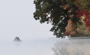 Fog fishing