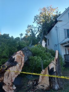 Region recovers after severe storm