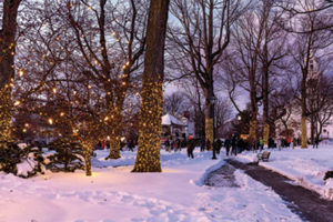 Second annual Light the Common promises to be spectacular and joyful