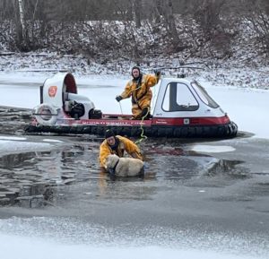 &#8216;Rocky’ back on dry land, thanks to Shrewsbury Fire Department