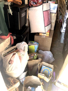 Donations pile up at Boy Scout Brandon Lu’s food drive.