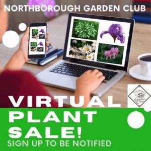 Northborough Garden Club's Annual Plant Sale will be virtual this year