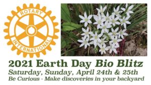 Earth Day Calendar: Region rallies for conservation, beautification
