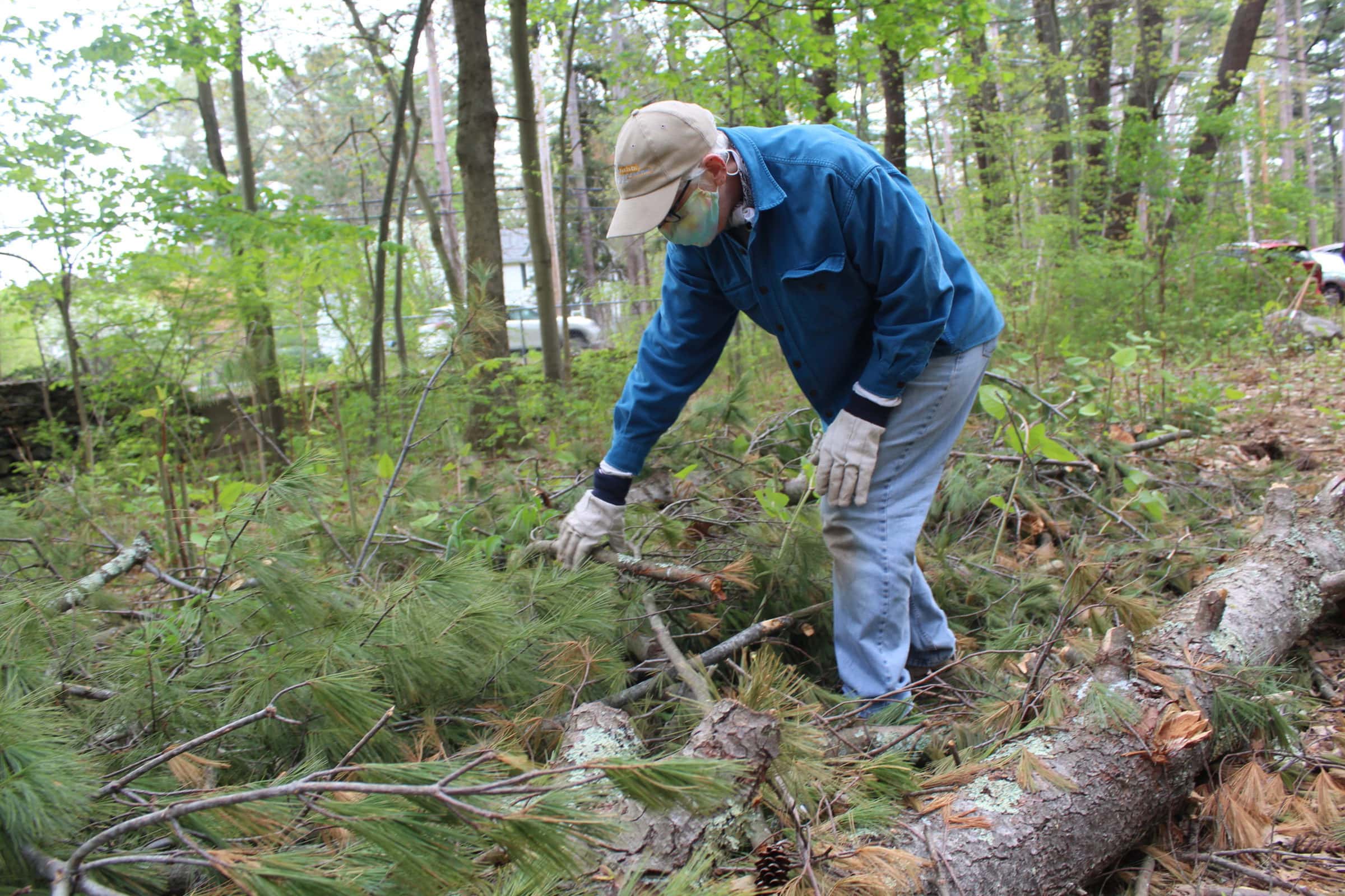 Volunteers clear Hudson’s Danforth trails