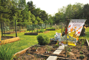 Northborough Community Garden marks 10 year anniversary