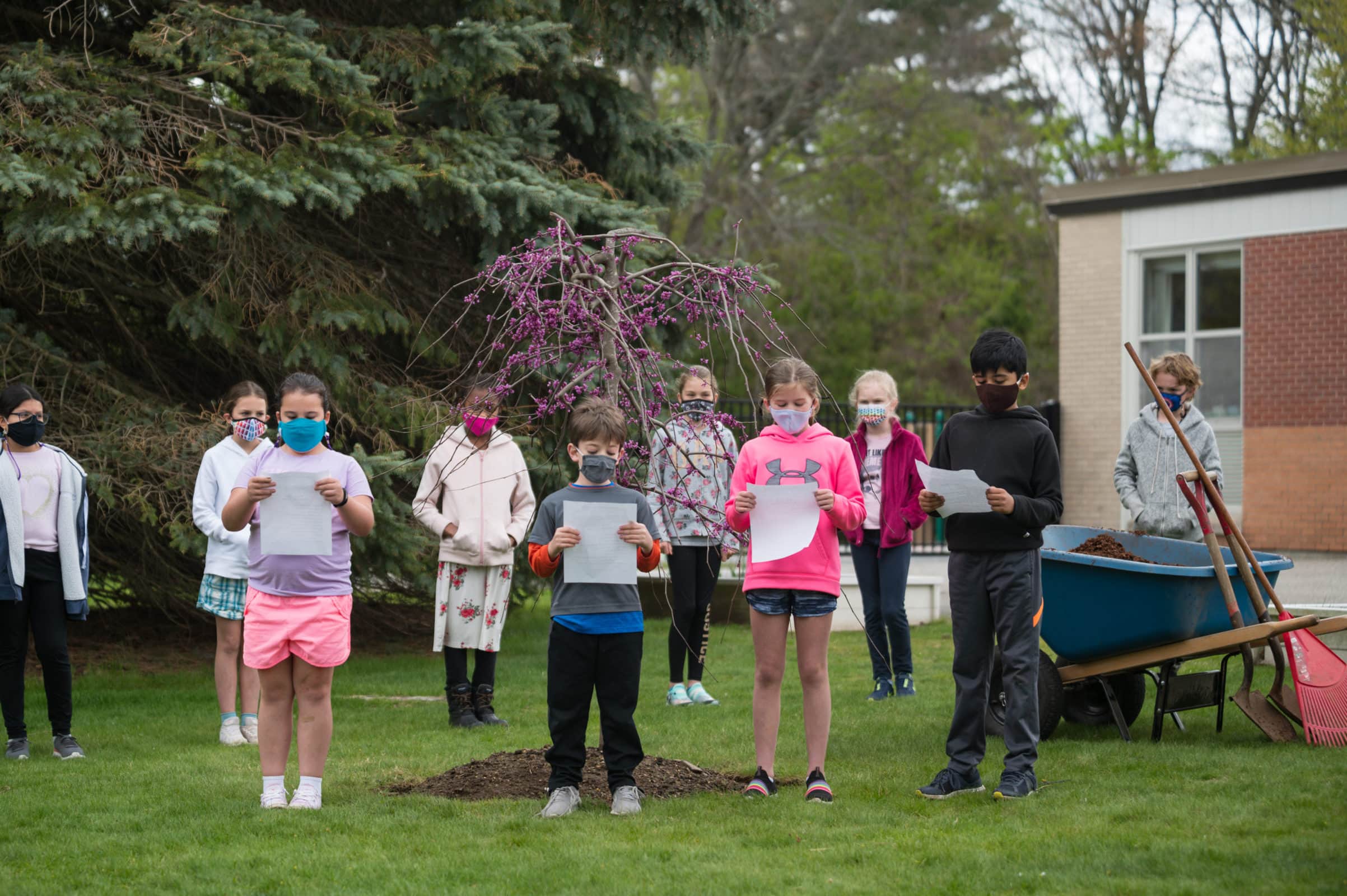 Armstrong Elementary plants trees for Arbor Day