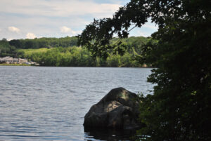 Fort Meadow boaters asked to help fight spread of invasive weeds