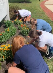 Ainsley Majer, Jillian Johannes, Audrey DeZutter and Allison Davis plant fall mums as part of the Hudson High School Earth Council, led by now-retired teacher Julie Snyder, last year. 