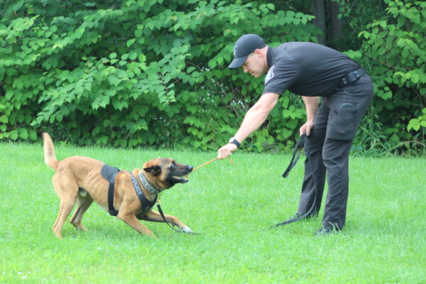 Officer Sam Leandres practices with Jocko.