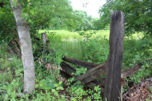 An old fence borders the McGee farm property where developers have sought to build a 140-unit multifamily development. 