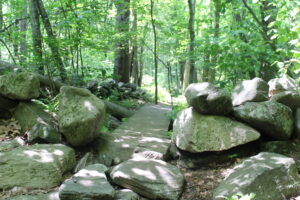 Trails run through the Mt. Pisgah Conservation Area, near where Northborough is considering conserving a new plot of land. 