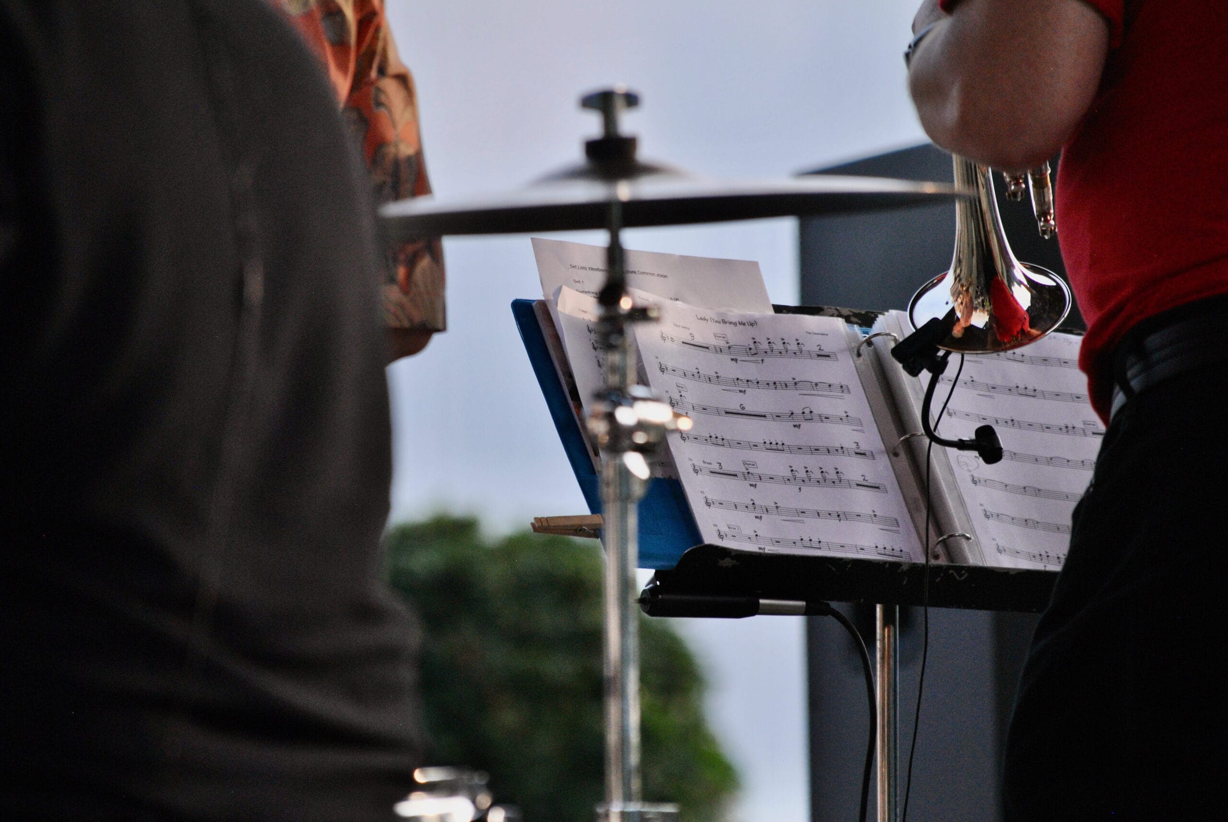 A horn player examines his sheet music during an Aug. 10 concert.