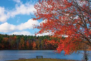 Beautiful spots for fall foliage viewing in New England