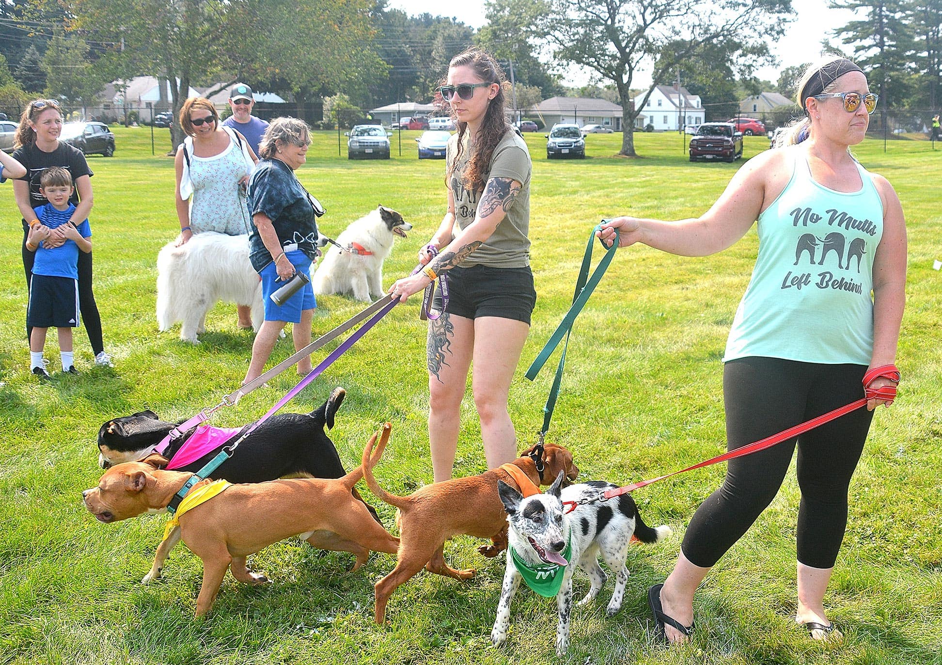 Animals and their humans flock to 23rd annual Pet Rock Festival in Grafton