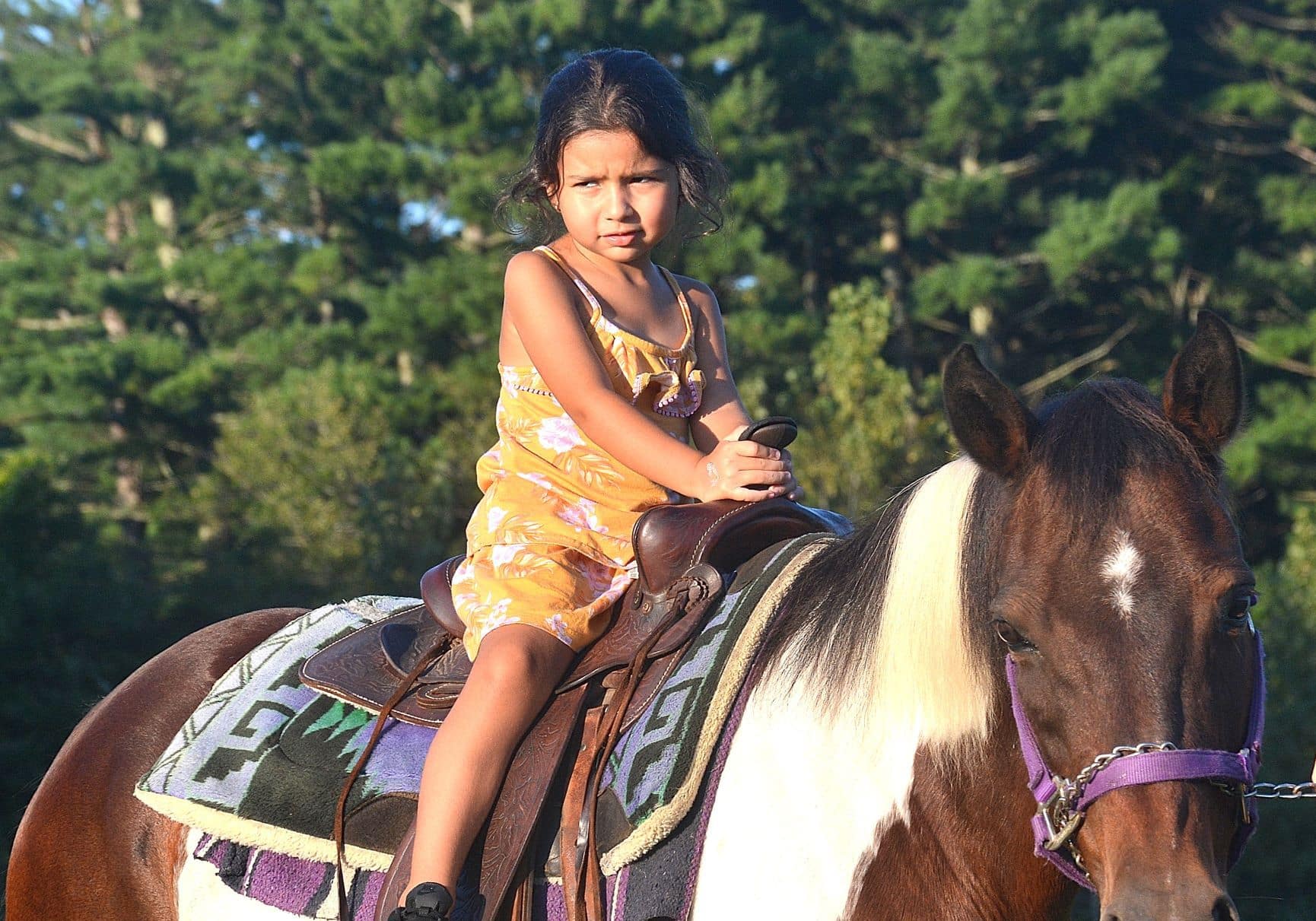 Zeina Attia, 5, takes a pony ride.