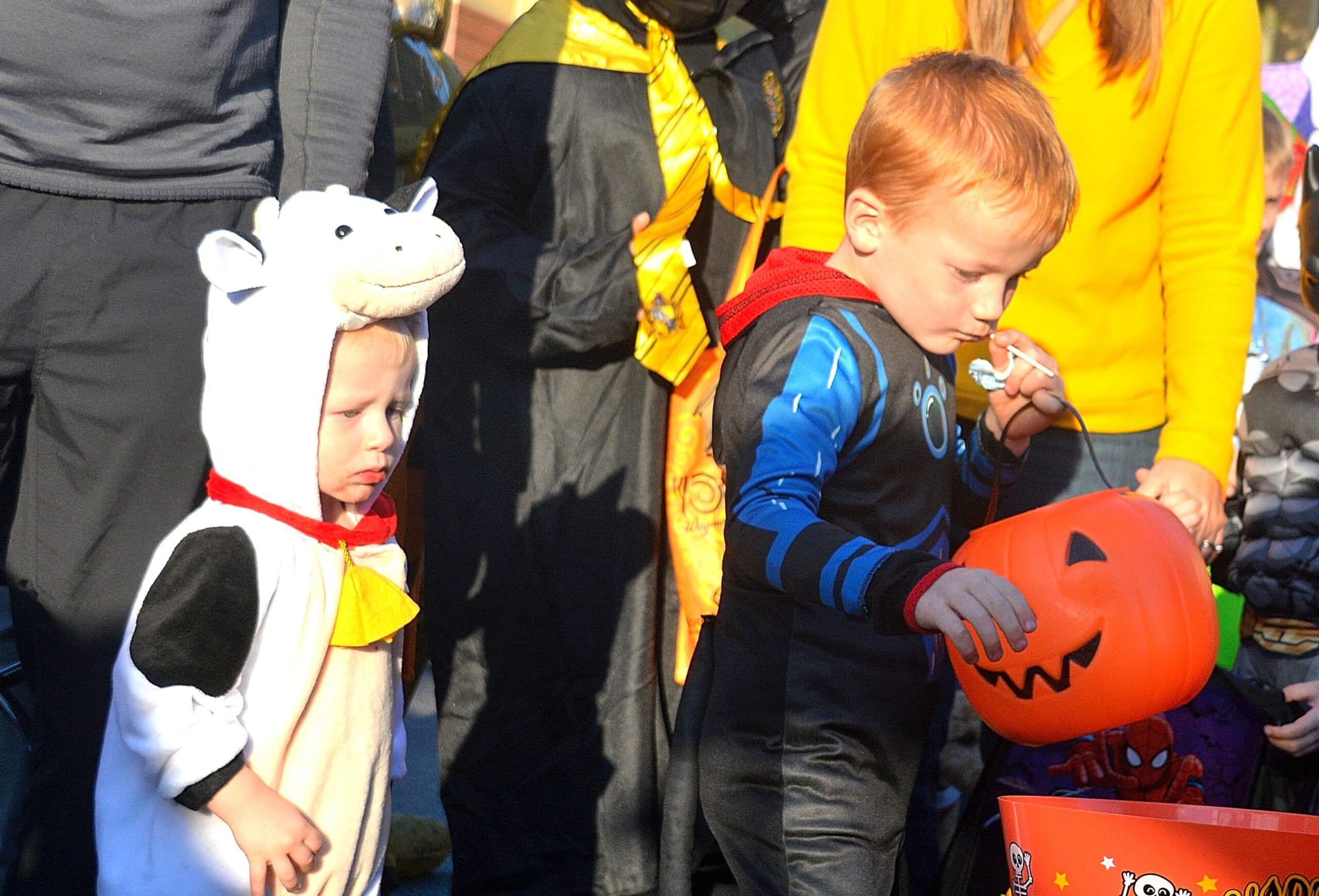 The Macknair brothers – Lucas, 1, costumed as a cow, and Gabriel, 5, as a “Wild Kratts” character from the PBS animated series – get treats from the trunk of the Southborough Police Department.