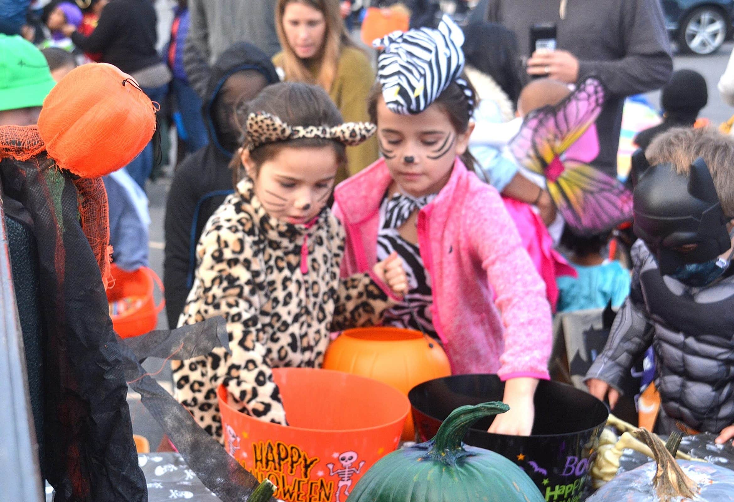 The Hickey sisters – Scarlett, 5, costumed as a cheetah, and Tessa, 6-1/2, as a zebra – get treats from the trunk of Chestnut Hill Farm.