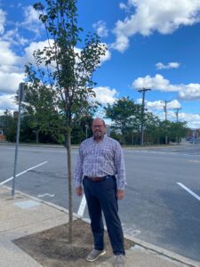 Lee Gaudette of Gaudette insurance stands with a tree he helped plant in Westborough. 