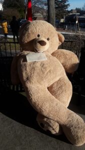 Stuffed bear goes on a ‘journey’ through Marlborough