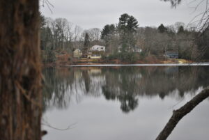 Engineers to remove water lilies from Northborough’s Solomon Pond