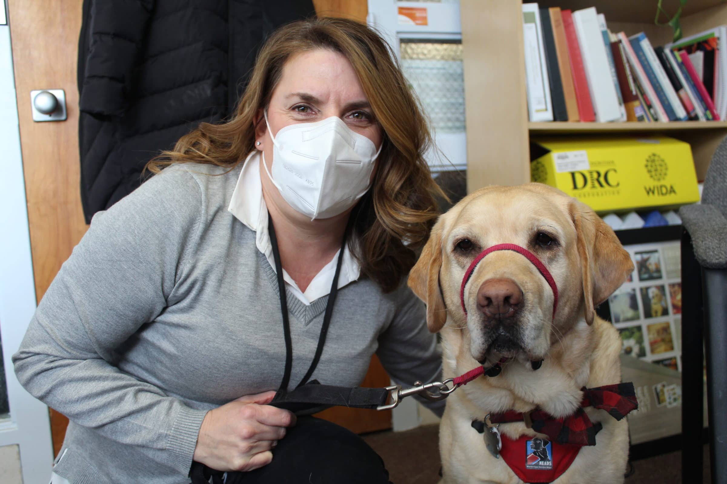Therapy dogs get to work in Northborough