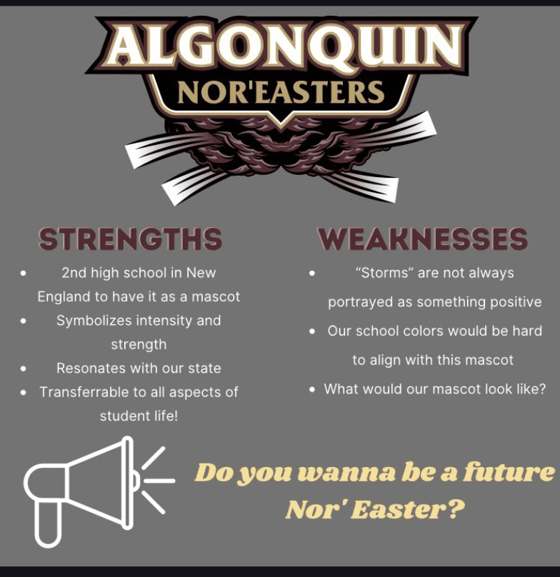 Algonquin talks next steps in new mascot selection process