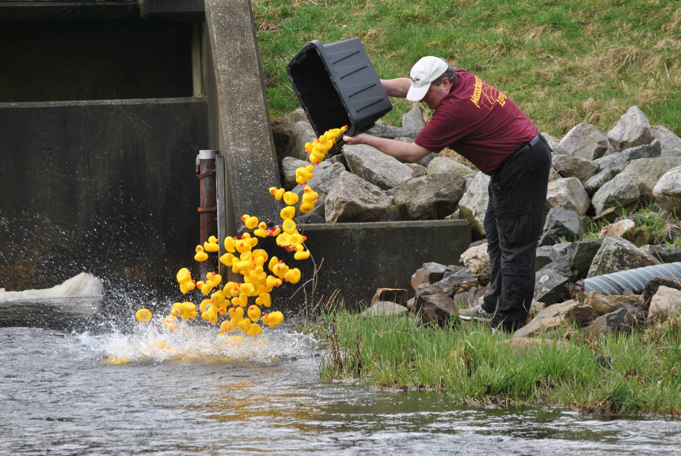 Five things to do this weekend: Rubber duck derby, father-daughter dance