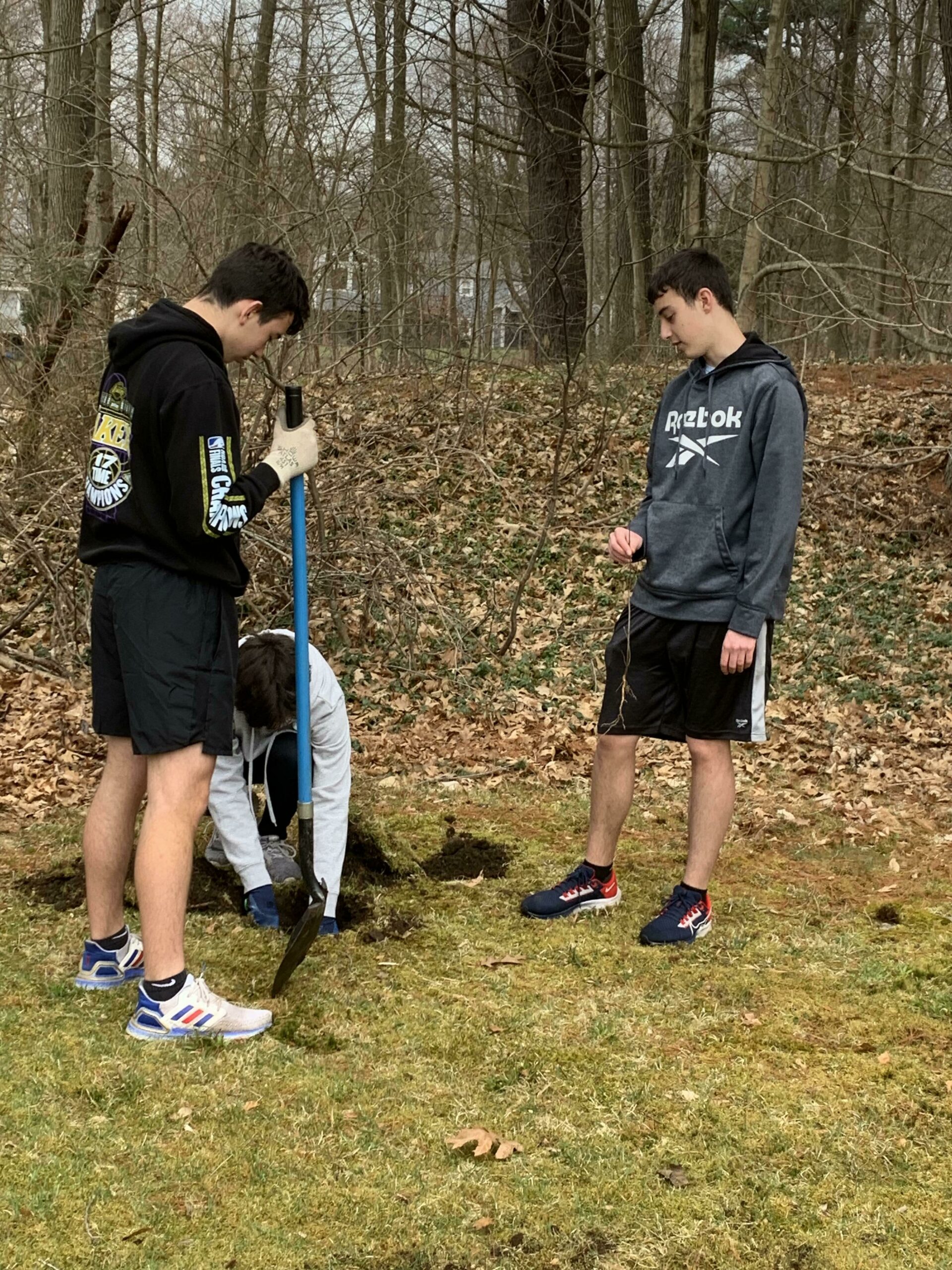 Hudson High School students plant trees for a cause