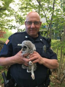 Grafton police officer helps rescue baby owl