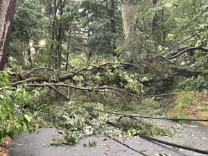 Power out in parts of Southborough, Marlborough after storms