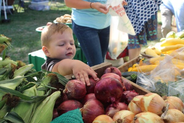 New location a success for Westborough Farmers’ Market