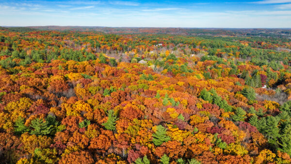 PHOTOS: Fall foliage in bloom across the region
