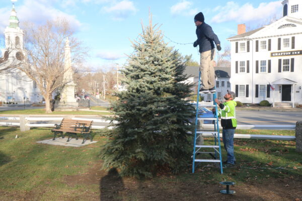 Grafton Boy Scouts picking up Christmas trees
