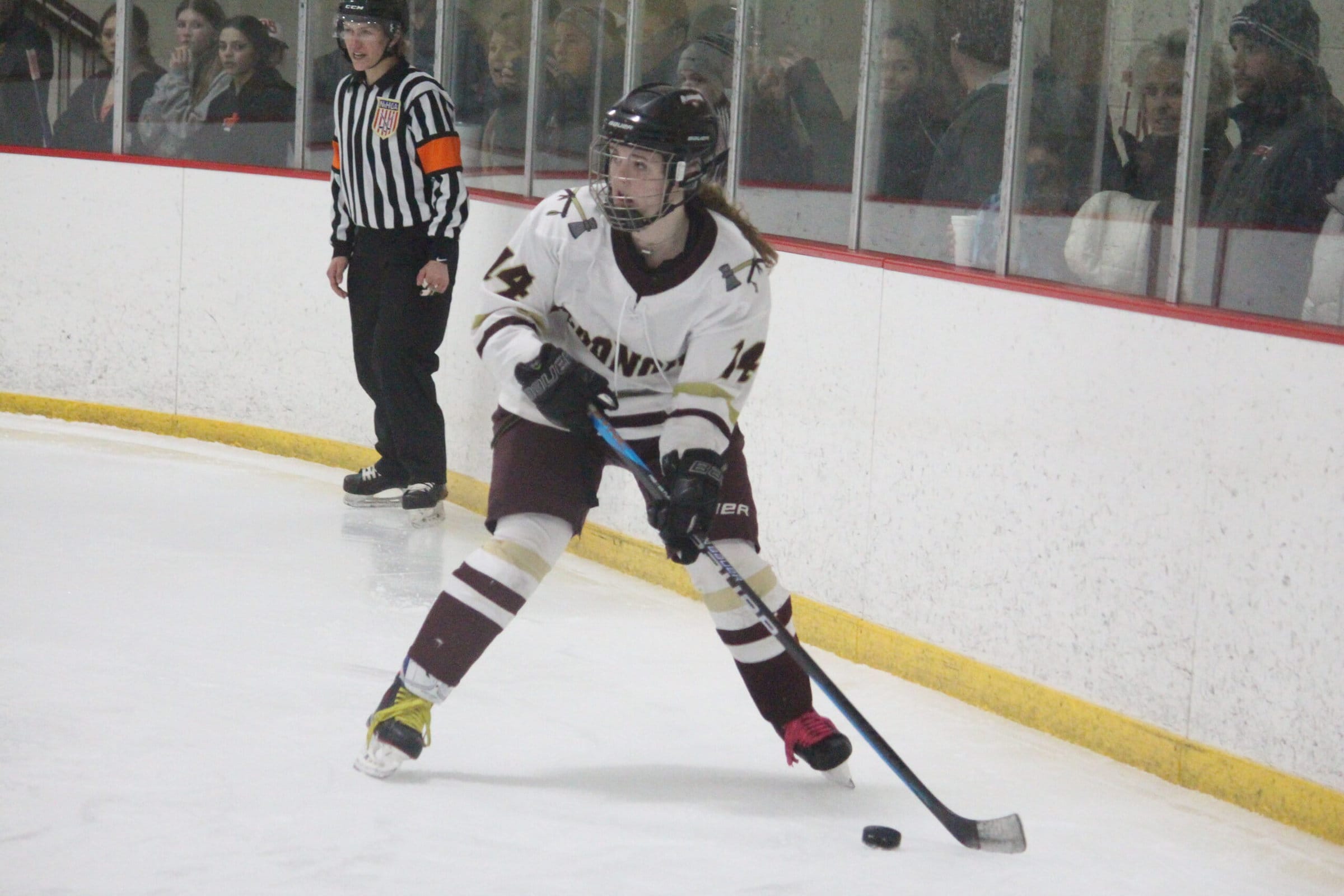 Attack of the Titans: Offense powers Algonquin girls hockey to playoff win over Dedham