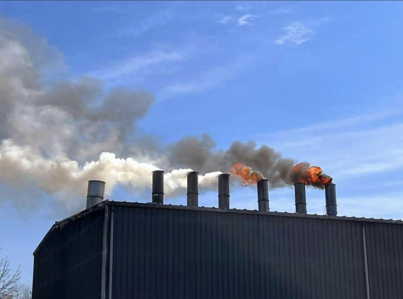 Fire hits Grafton&#8217;s Feedback Earth roof for second time
