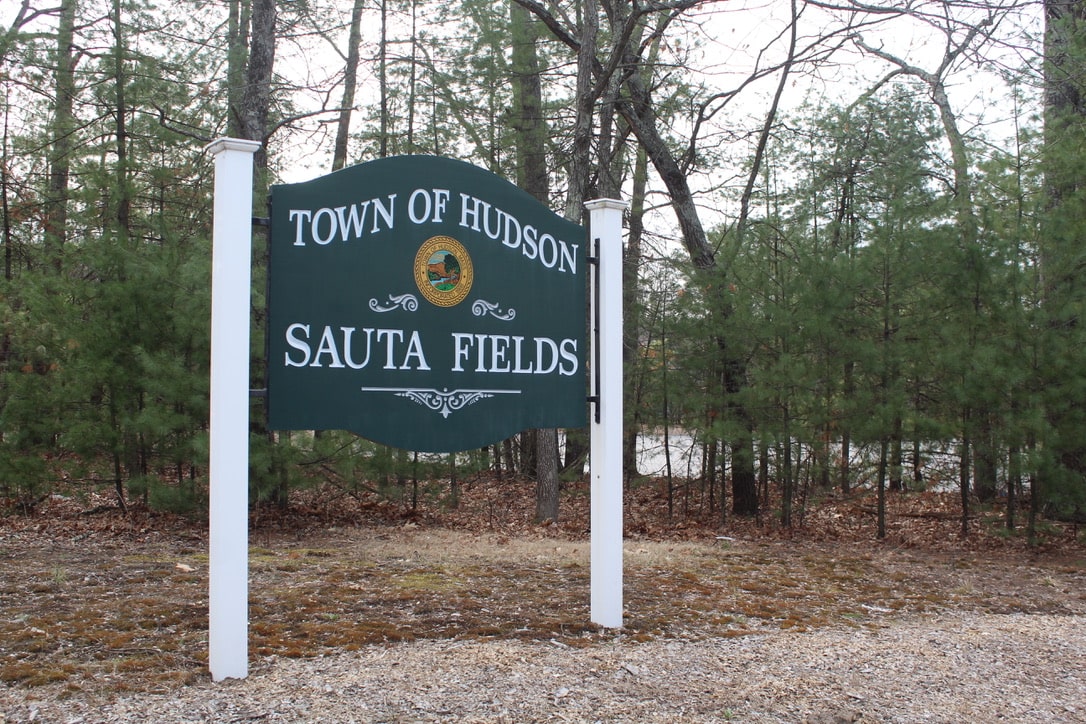 Consultant approved for proposed Hudson dog park