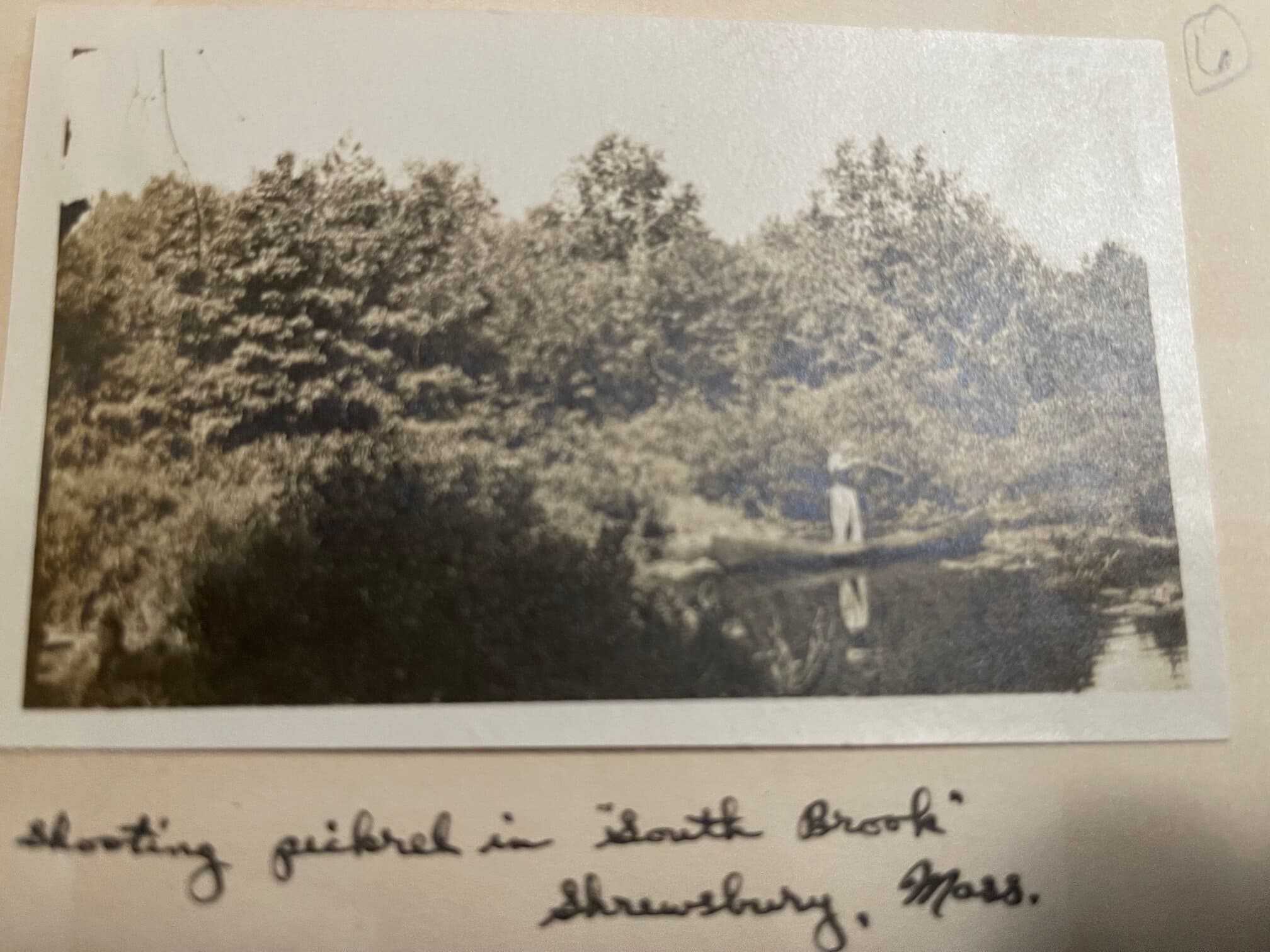 A century ago in Shrewsbury, some outdoor pursuits were far less placid than today