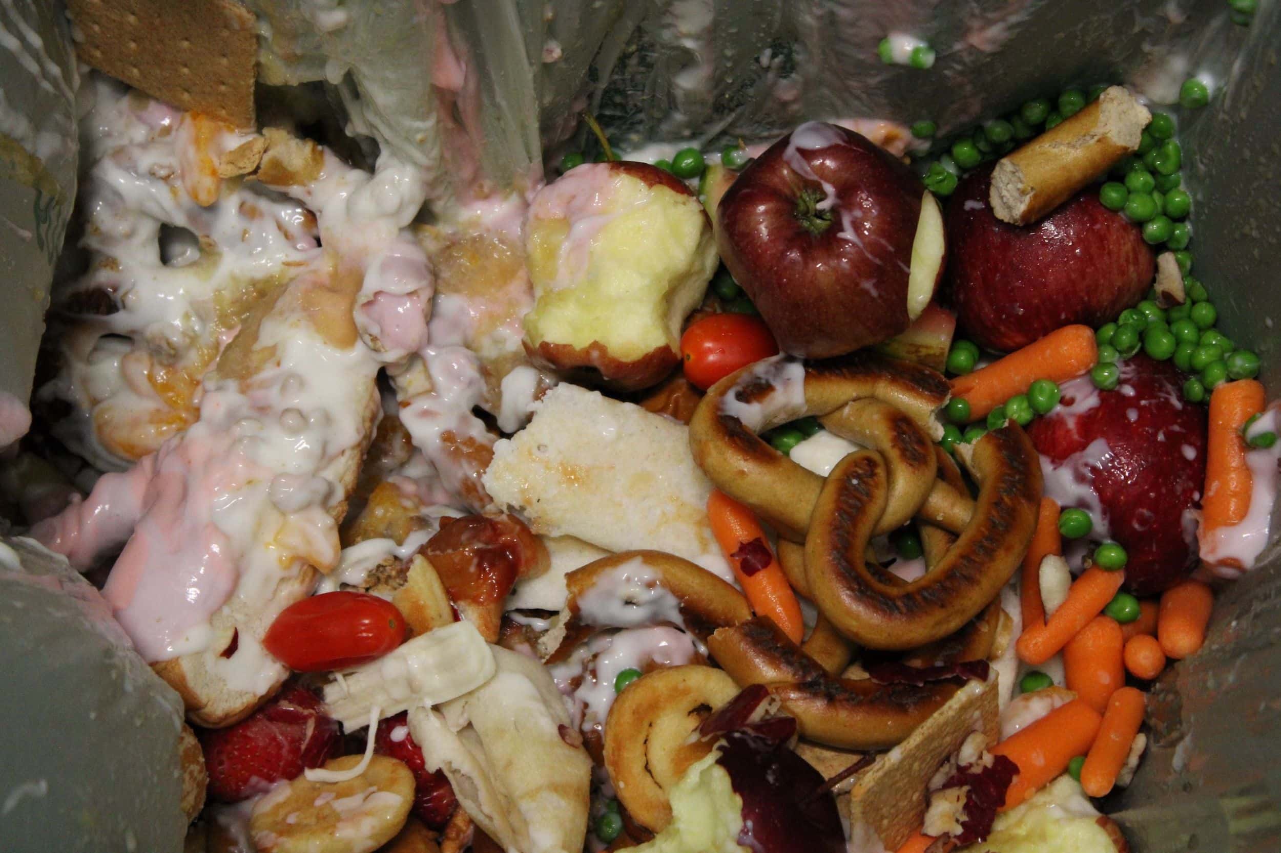 Schools finish first year of composting program