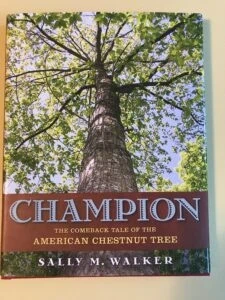 Nature Notes: American Chestnut update