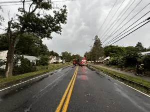 Thunderstorm downs trees, wires in region