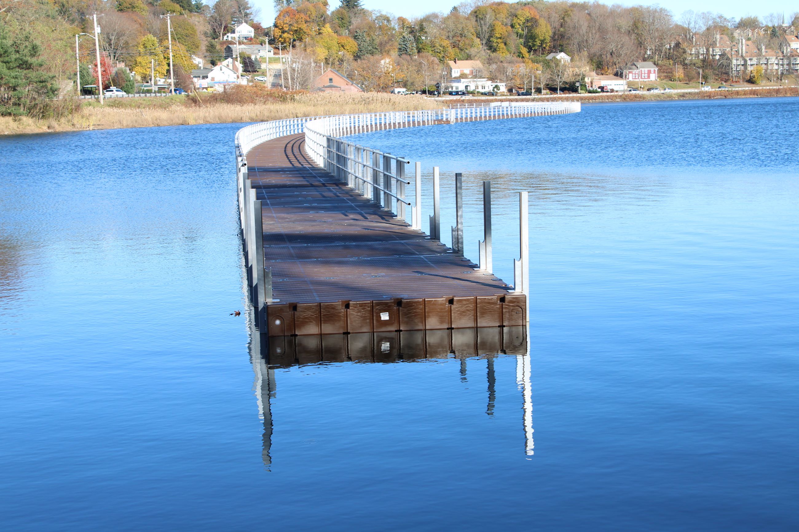Boardwalk at Lake Williams in Marlborough close to completion