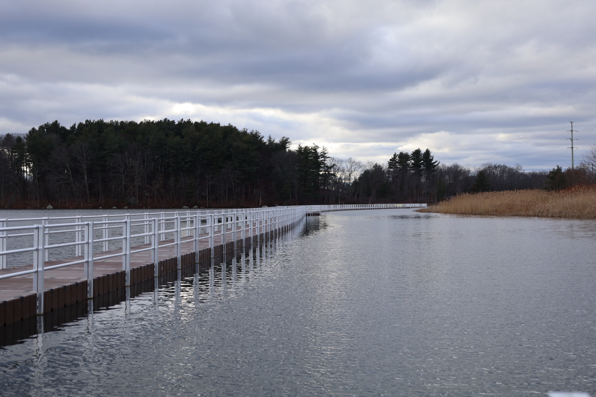 Lake Williams floating boardwalk completed